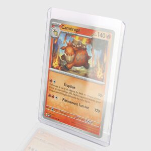 Toploader – Box of 50 units