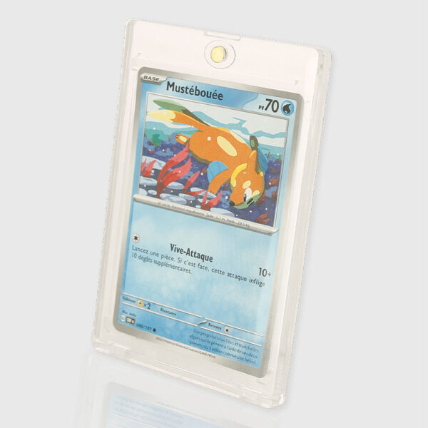 Magnetic Card Case