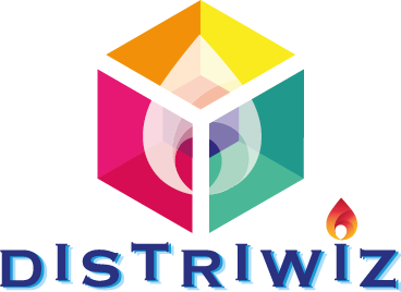 Logo Distriwiz