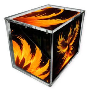Acrylic protection - 8 Mini Tin Display