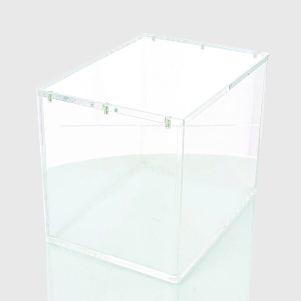 Acrylic protection - Pokebox - Image 2