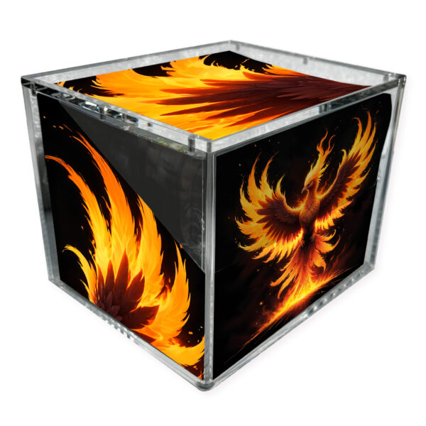 Acrylic protection - 10 Mini Tin Display