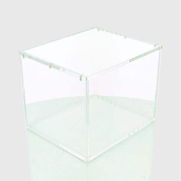Acrylic protection - 10 Mini Tin Display - Image 2